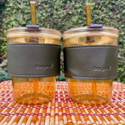 Glass Tumbler Set with Leather Grip & Straw