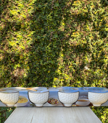 Porcelain Bowl Set Of 4 v2