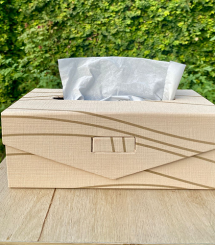 Elegant DIY Cardboard Tissue Box