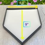 WhatsApp Image 2025 12 03 at 8.11.45 PM