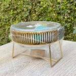 WhatsApp Image 2026 01 12 at 9.09.27 PM